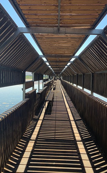 הגשר הצף על האגם בשמורת טבע החולה, הגליל העליון