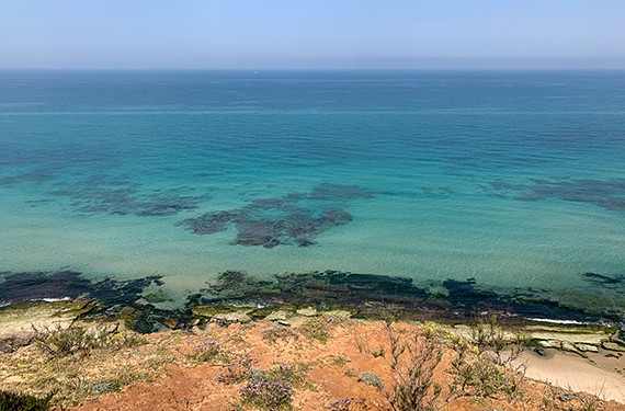 נוף הים הנשקף מהמצוק בשמורת חוף השרון