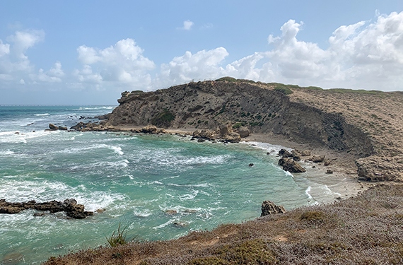 הנוף לים מהצוקים בשמורת טבע חוף גדור