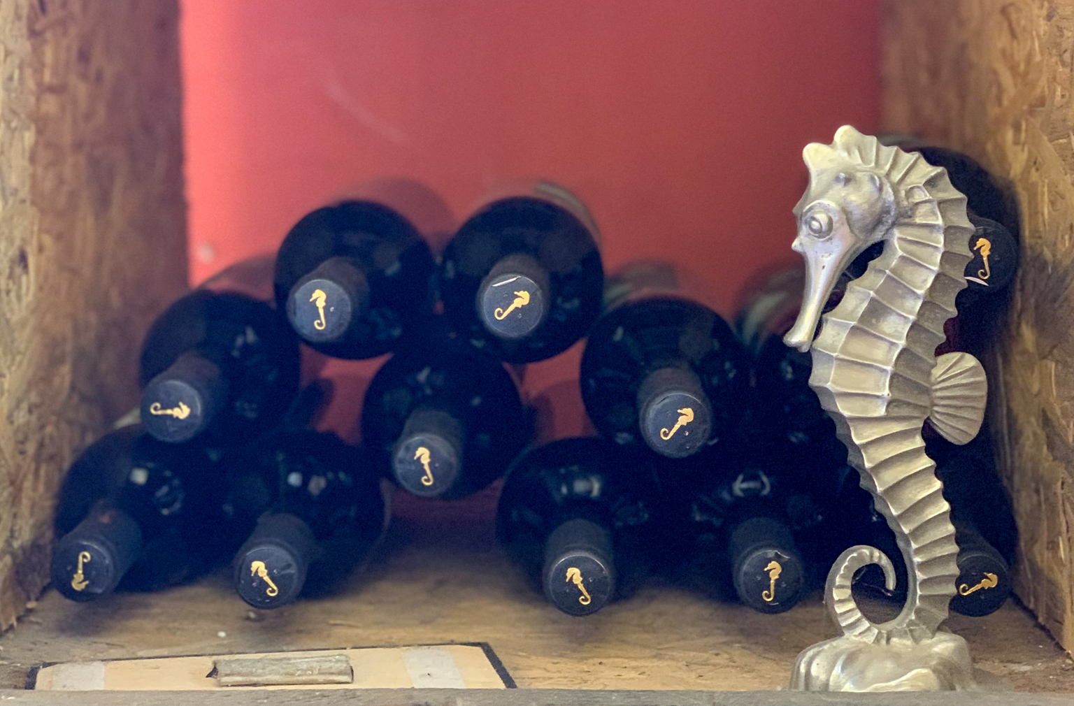 בקבוקי יין ופסלון של סוסון ים ביקב סוסון ים במושב בר גיורא