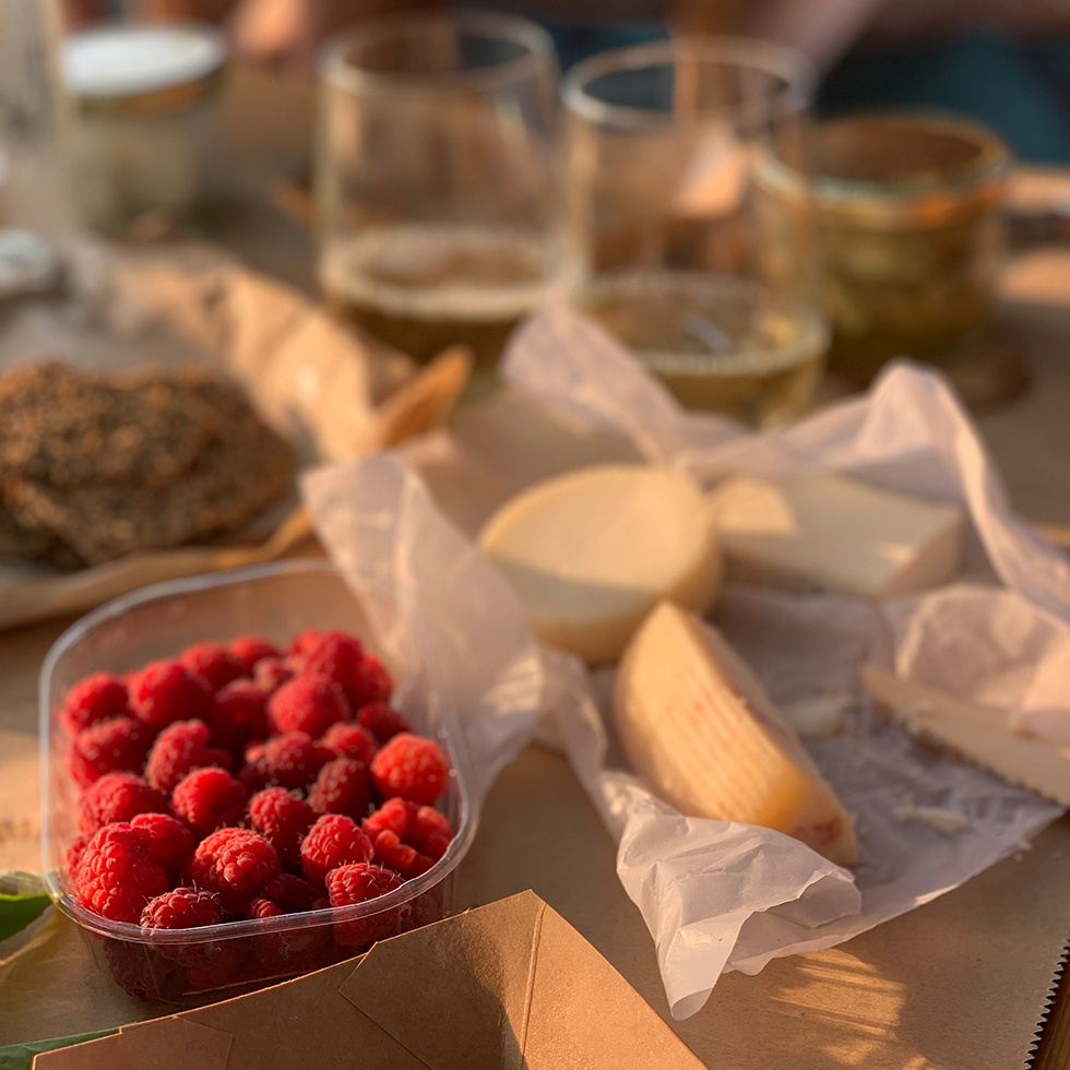 פיקניק עם גבינות ופטל אדום במשק שגיא פטל ארץ במושב תעוז במטה יהודה