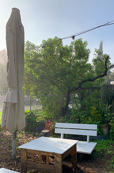 שולחן וספסל בחצר החמודה של בית הקפה גולדה בחצר בקיבוץ מרחביה ליד עפולה