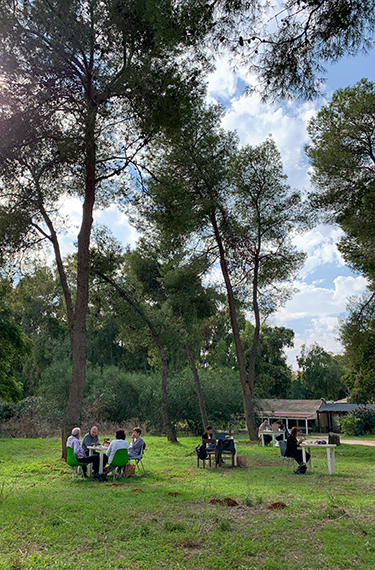 ספספלי פיקניק בחורשת האורנים מול בית הפק האורלי בקיבוץ נען