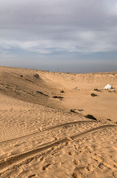דיונת חול ענקית ליד היישוב באר מילכה באיזור פתחת ניצנה על גבול מצרים