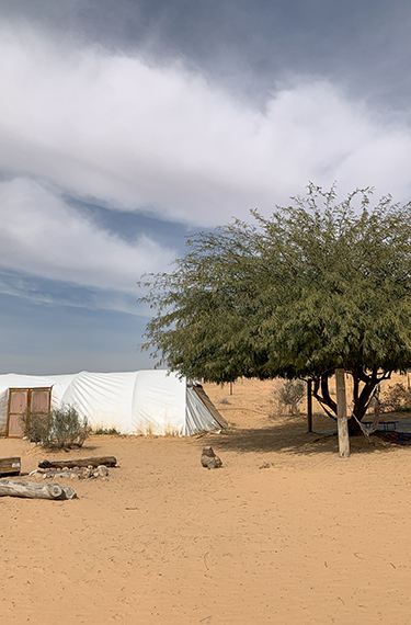 אוהל ועץ על חול צהוב בחוות שירת המדבר ליד היישוב באר מילכה בפתחת ניצנה