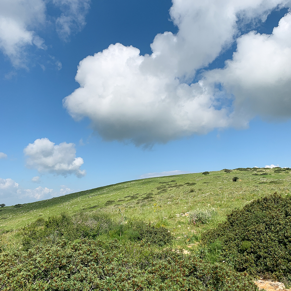 נוף הר ירוק עם עננים לבנים מושלמים על רקע שמיים כחולים בהר ברקן