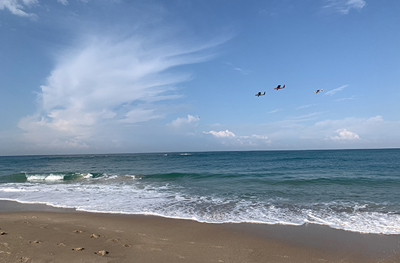חוף פלמחים היפה ושלושה כלי טיס במטס מעליו