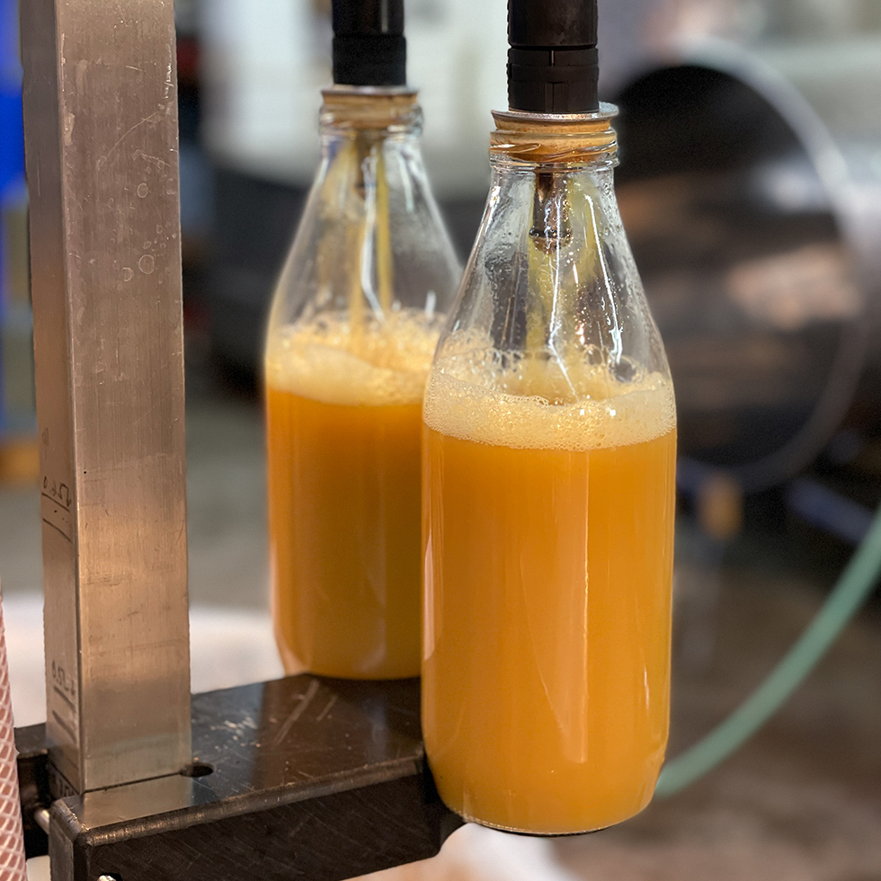 שני בקבוקי זכוכית מתמלאים במיץ תפוחים כחלק מתהליך הכנת הסיידר במתססה בקרית יערים