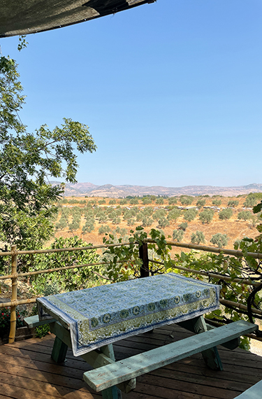 ספסל פיקניק עם מפה מצוירת מול הנוף בחוות ואדי ינשוף ליד ראש פינה