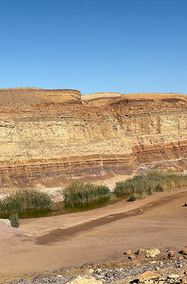 קיר סלע ענקי וצבעוני ובתחתיתו אגם קטן וצמחיה בגן לאומי צבעי מכתש רמון