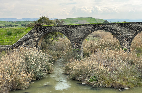 אחד הגשרים באתר גשר הישנה בעמק המעיינות ומתחתיו זורם נהר הירדן