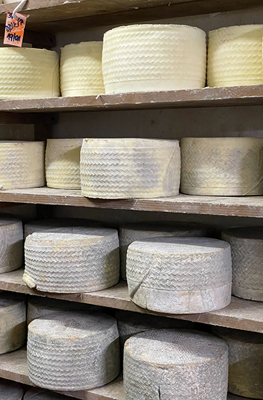 כיכרות של גבינה מתיישנת בחדר הגבינות במחלבת ברקנית בכפר יחזקאל