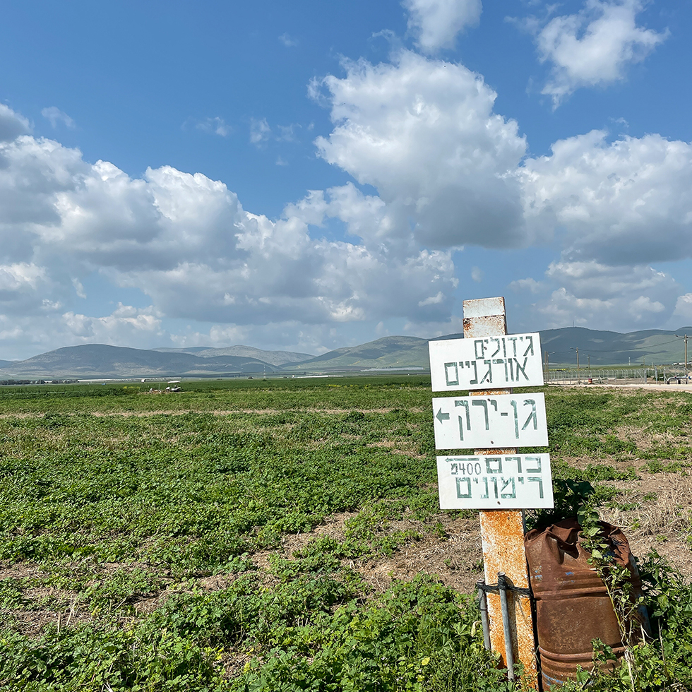 שלטים המורים על גידולי החקלאות השונים שגדלים בקיבוץ שדה אליהו בצורת גידול של חקלאות אורגנית במסגרת סיור ביו תור