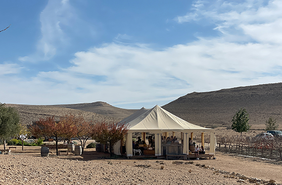בחורף נבנה אוהל נעים ומתוכו ניתן לצפות כל כרמי יקב ננה