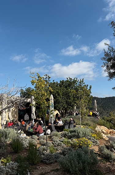 חצר בית קפה הסטף