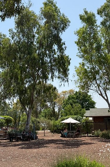 חצר האקליפטוסים המרגיעה והנעימה ביקב אסף