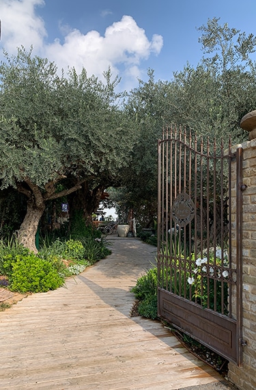 שביל הכניסה למסעדת גוז ודניאל בבני ציון