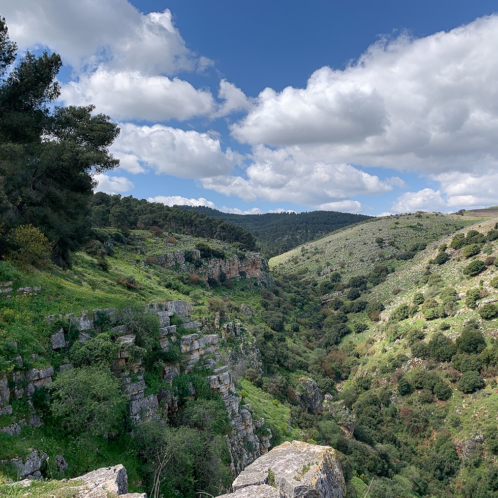מצוקי דלתון העוצמתיים והירקרקים ומעליהם שמיים כחולים זרועי עננים לבנים