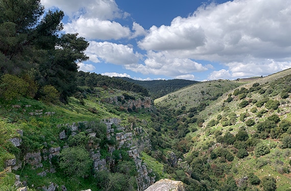 מצוקי דלתון המרשימים בעונת האביב, שמיים כחולים וצמחייה ירקרקה שמכסה את הקרקע