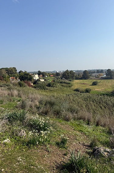 שמורת טבע אודים, נרקיסים פורחים והיישוב במרחק