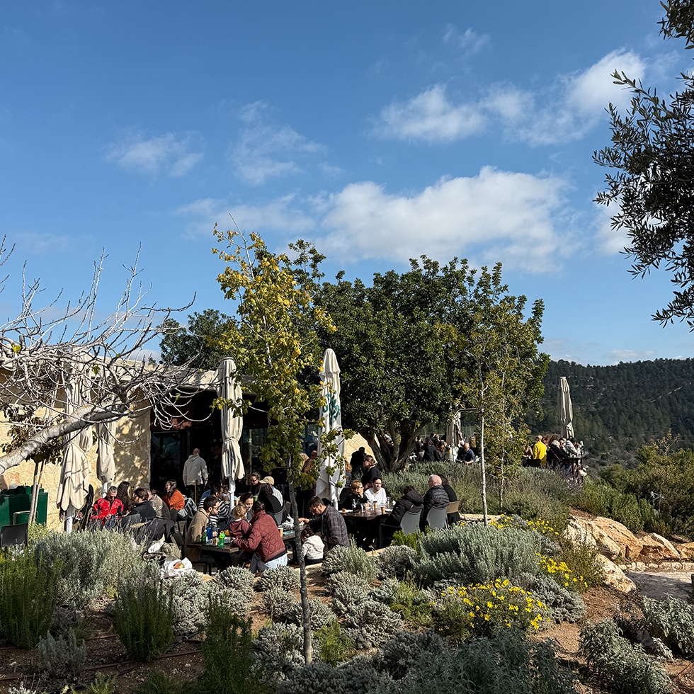 המרפסת הנעימה המשקיפה לנוף הסטף בבית הקפה The Sataf