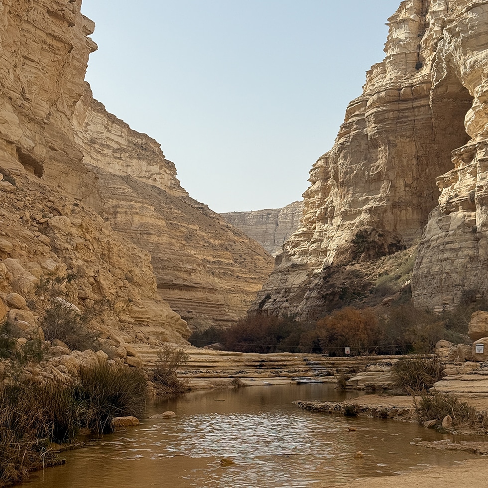 המים בבריכת עין עבדת בין המצוקים המדבריים המרשימים