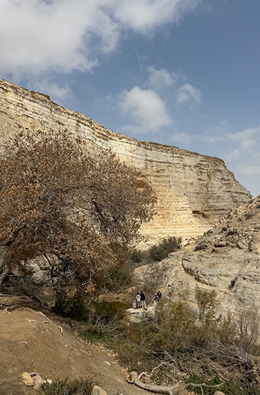 נוף המצוקים המדברים והיפה בגן לאומי עין עבדת